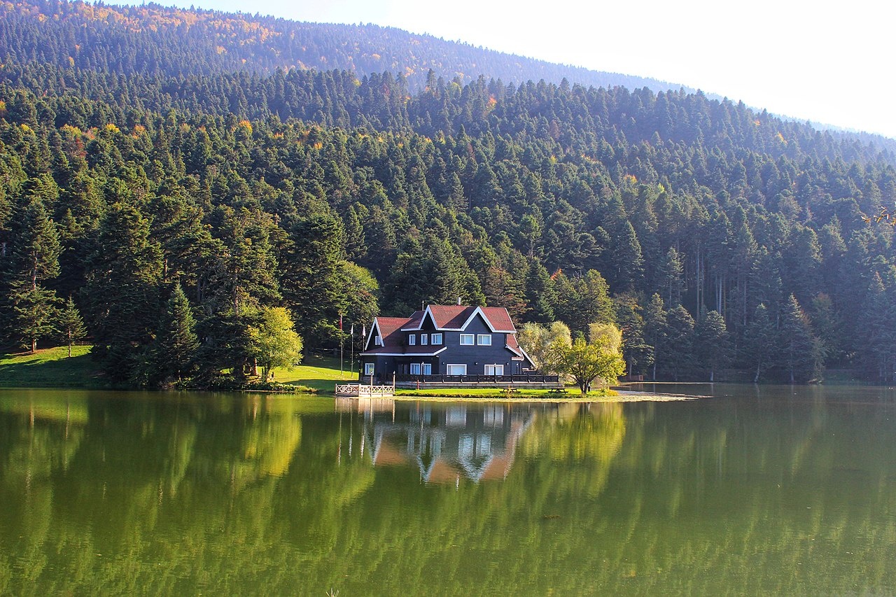 Bolu Bolu