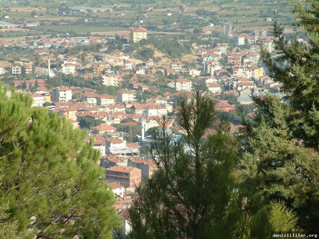 Beyağaç