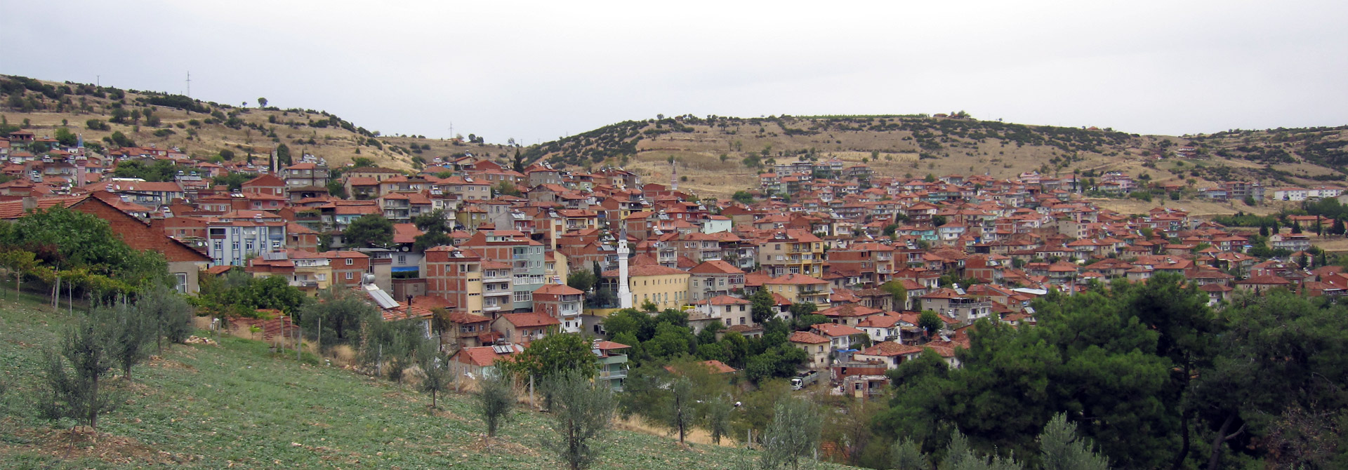 Güney