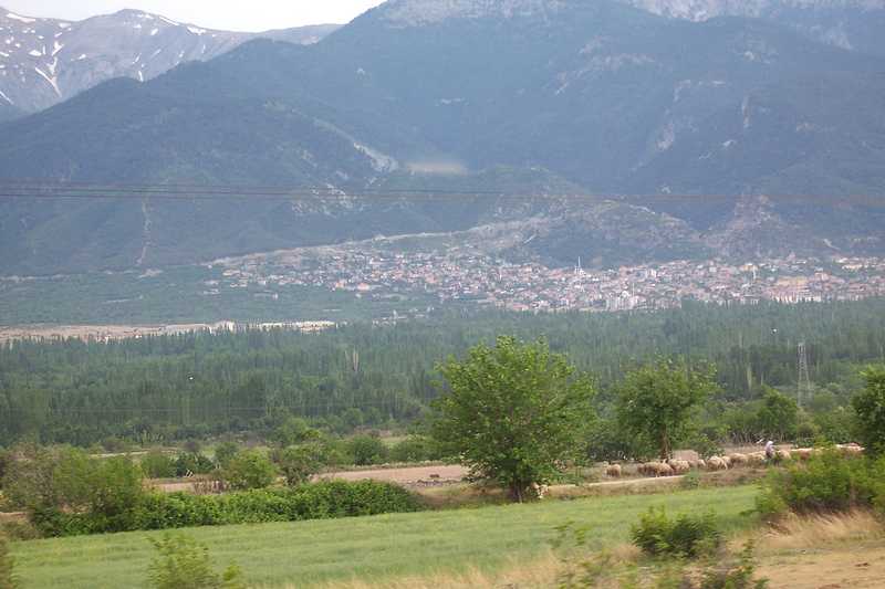 Honaz