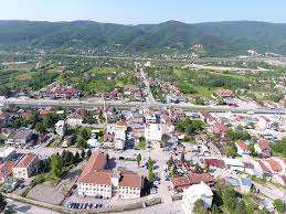 Kaynaşlı