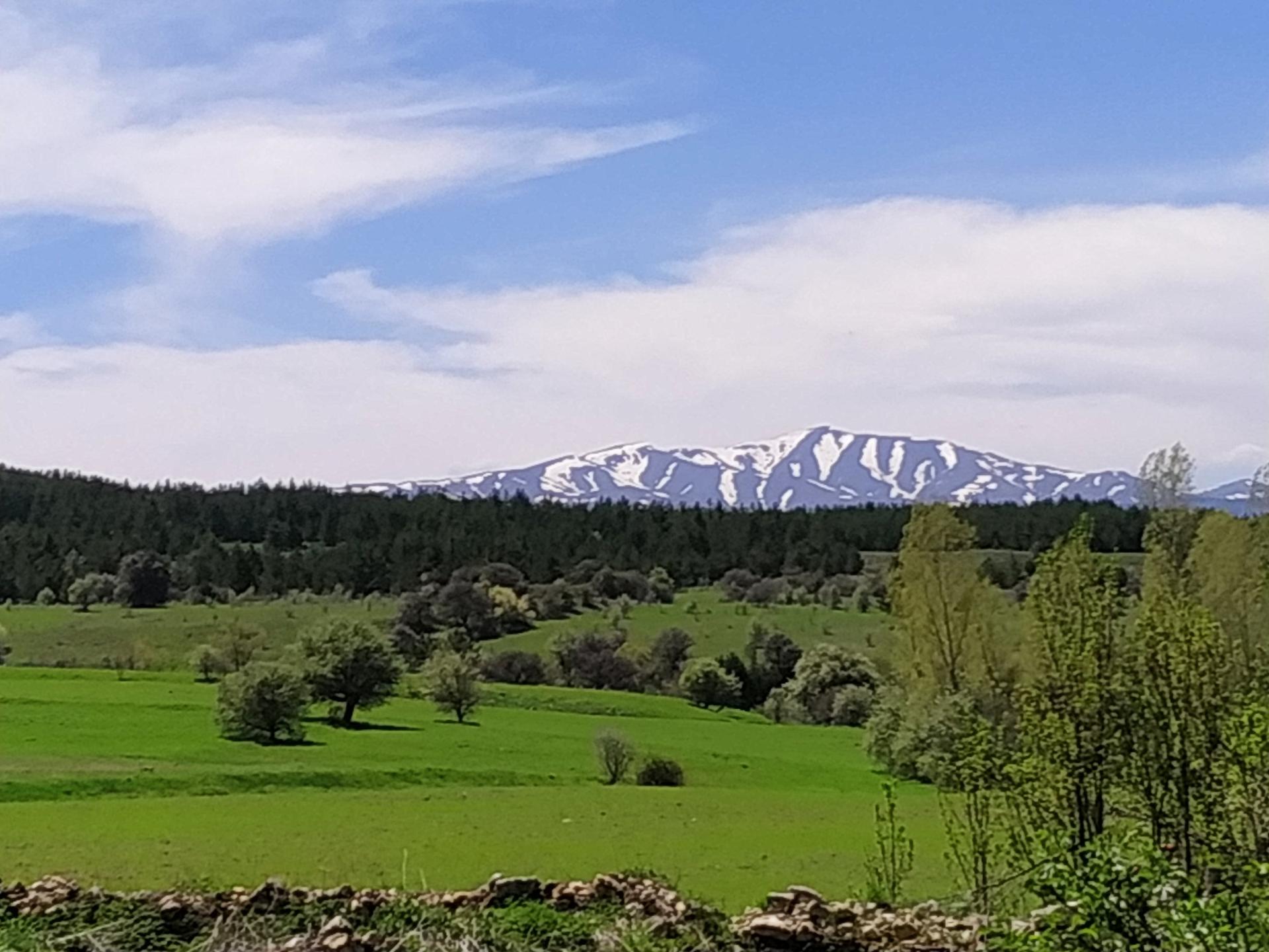 Refahiye