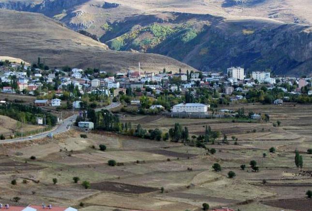 Şenkaya
