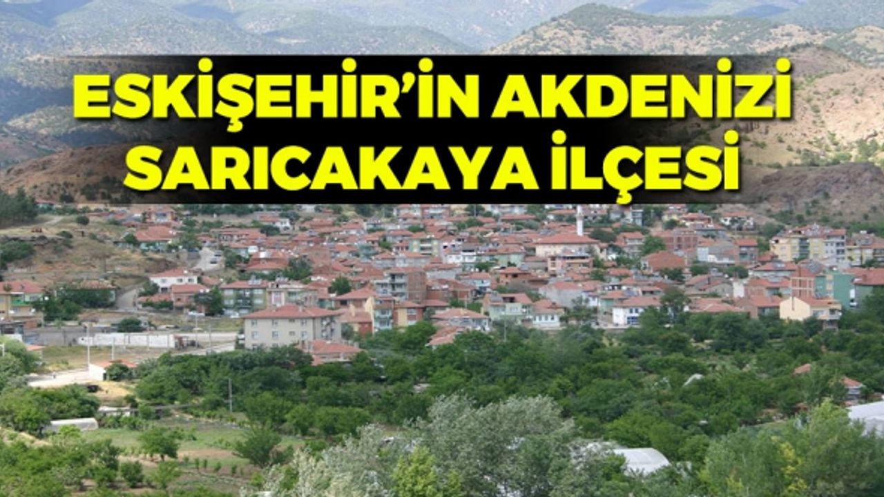 Sarıcakaya