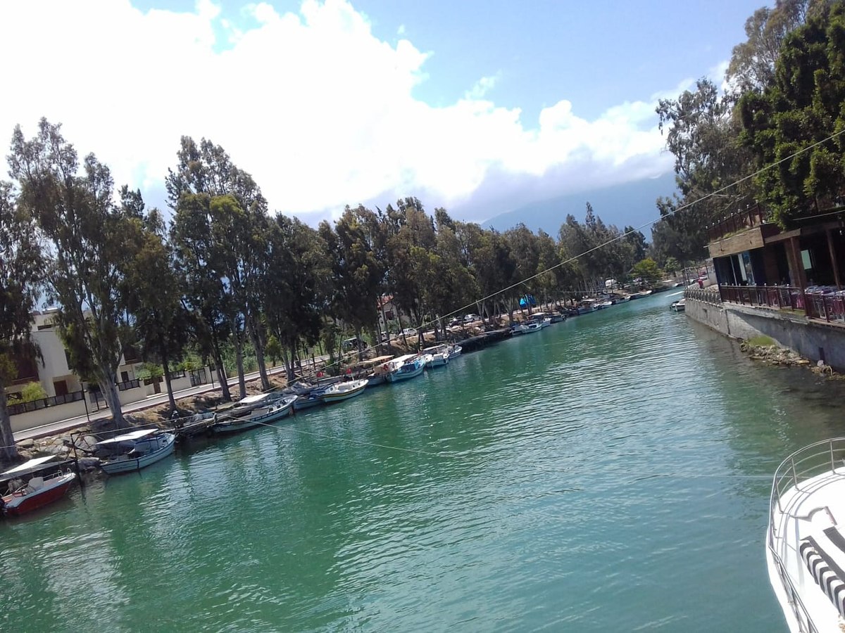 Arsuz