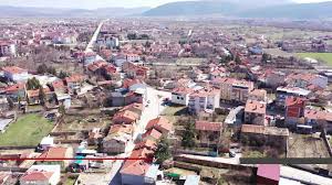 Şarkikaraağaç