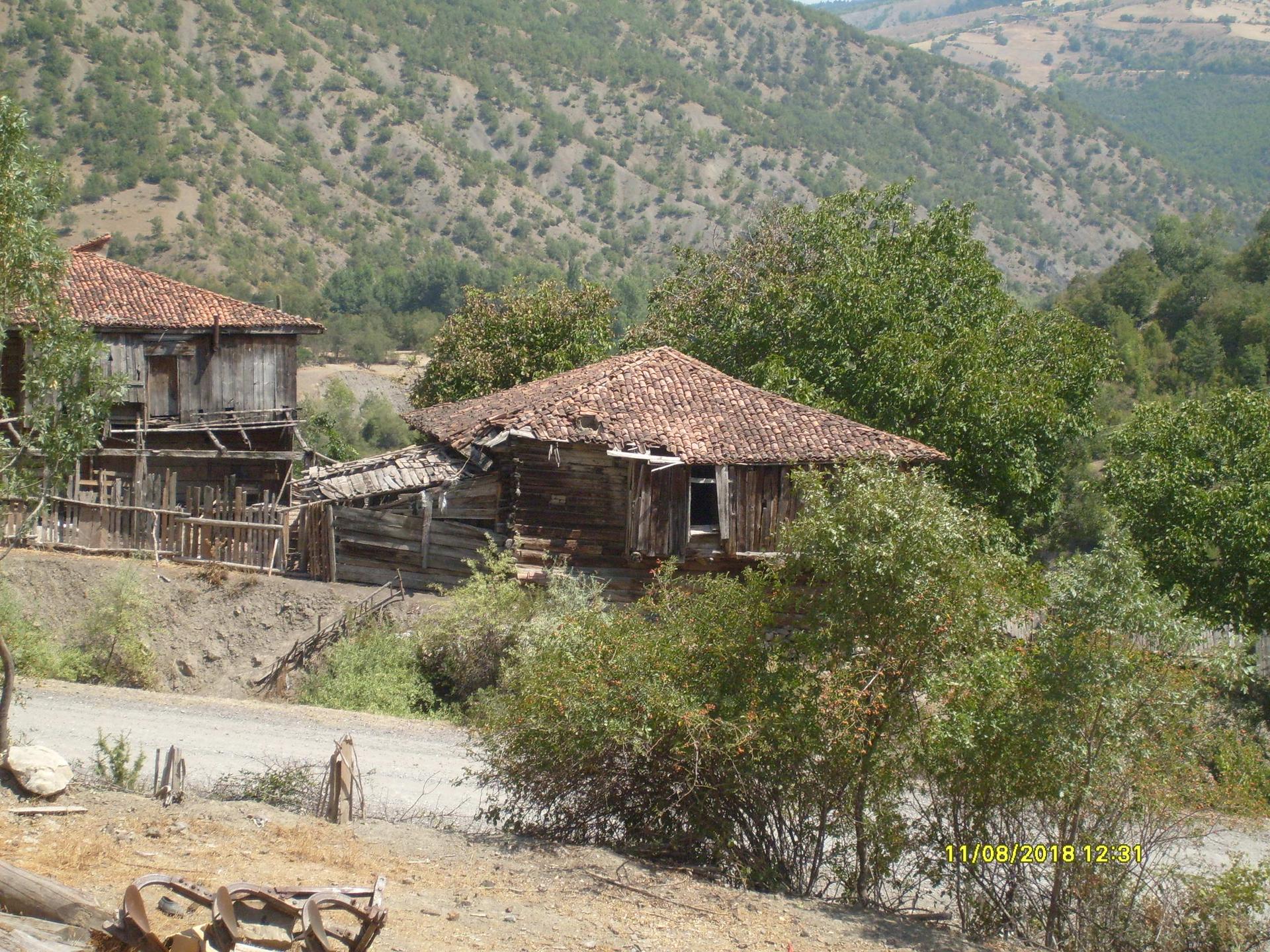Araç