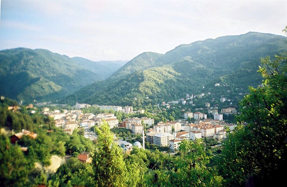 Bozkurt