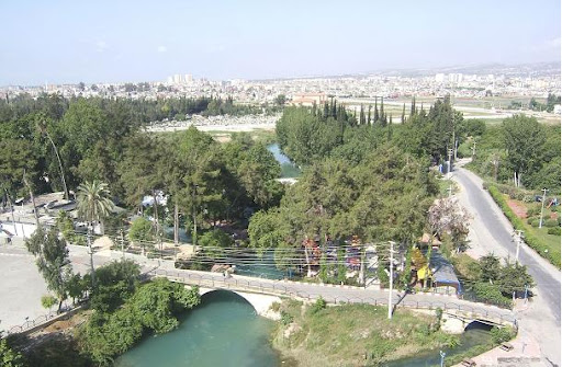 Tarsus