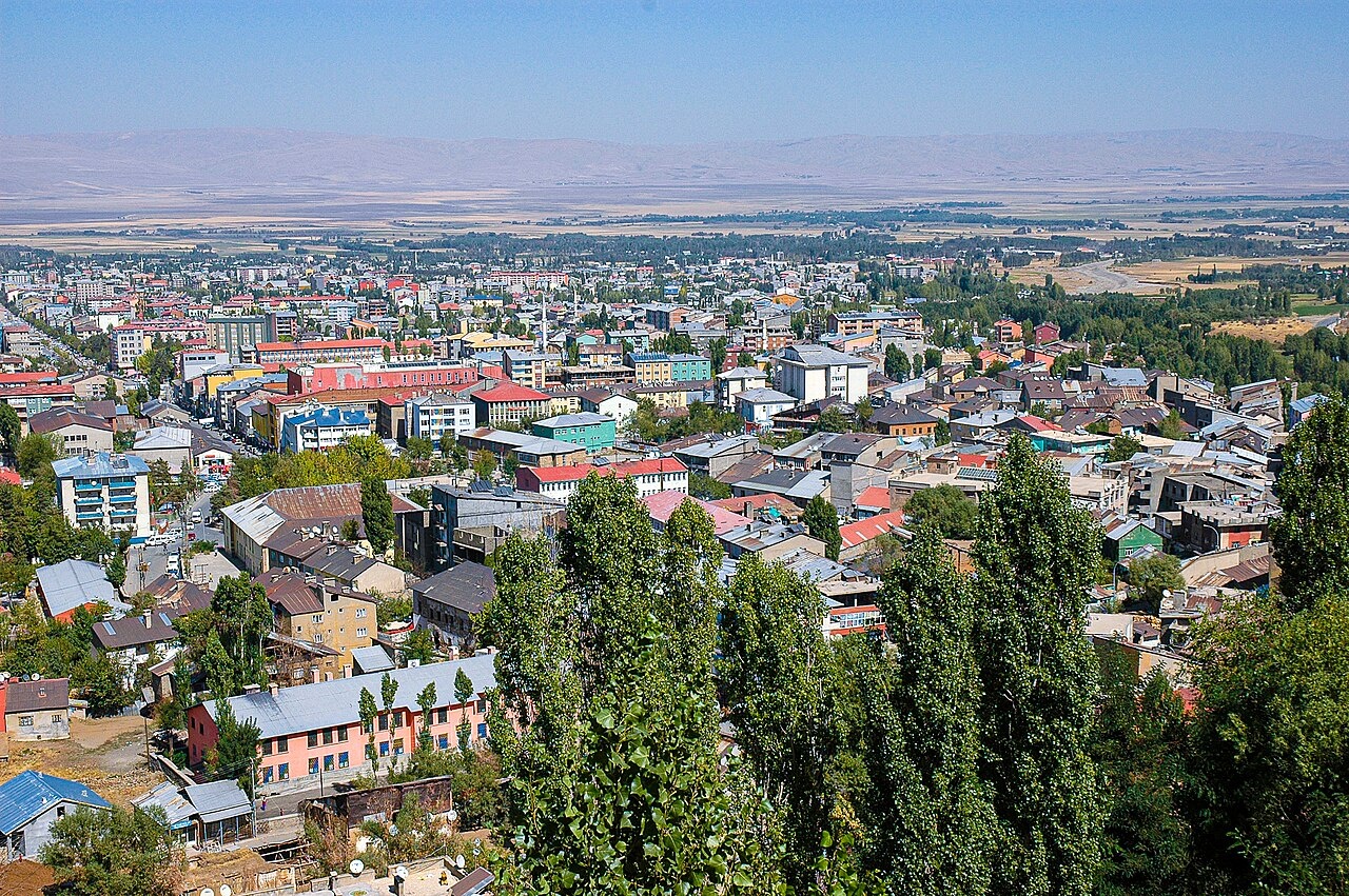 Muş Muş