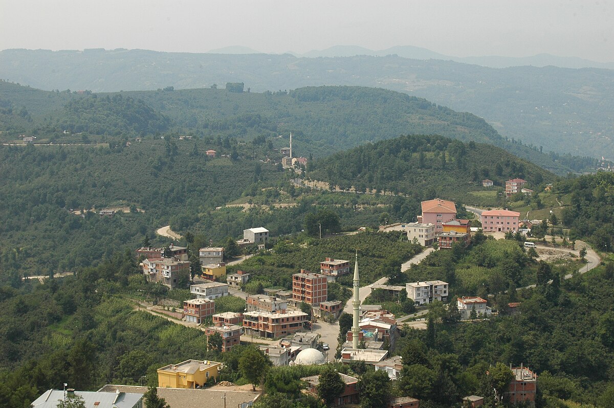 Çamaş