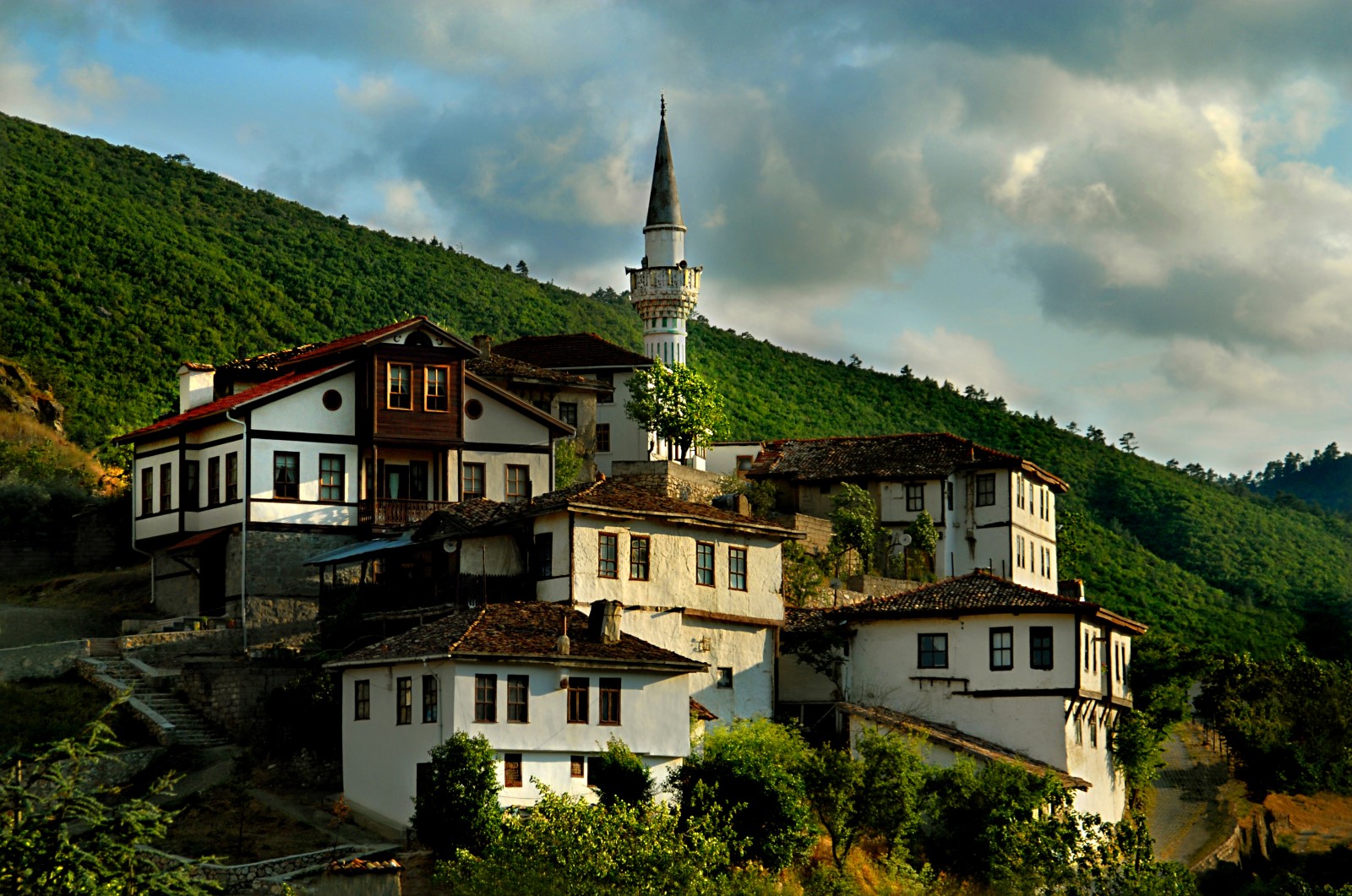Taraklı Taraklı