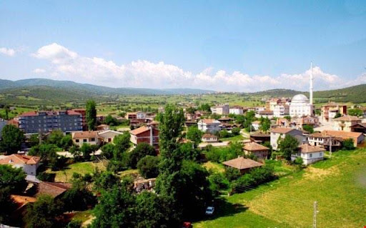 Saraydüzü