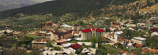 Koyulhisar
