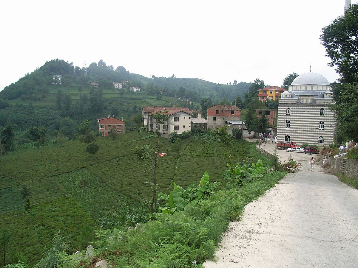 Hayrat